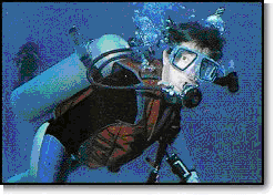 Dive Sint Maarten Scuba Diving Dive Travel