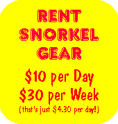 rentsnkl.JPG (41272 bytes)