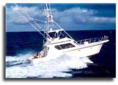 Fishing Boat